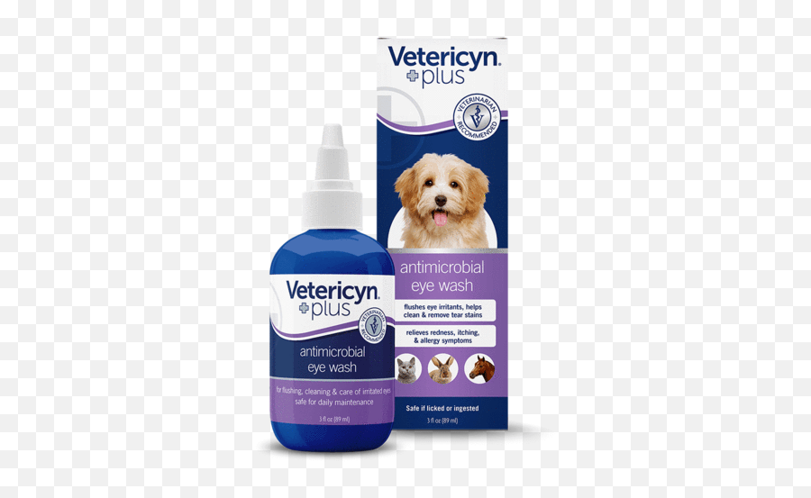 Dog - Vetericyn Plus Eye Wash Png,Platinum Cats Vs Dogs Icon