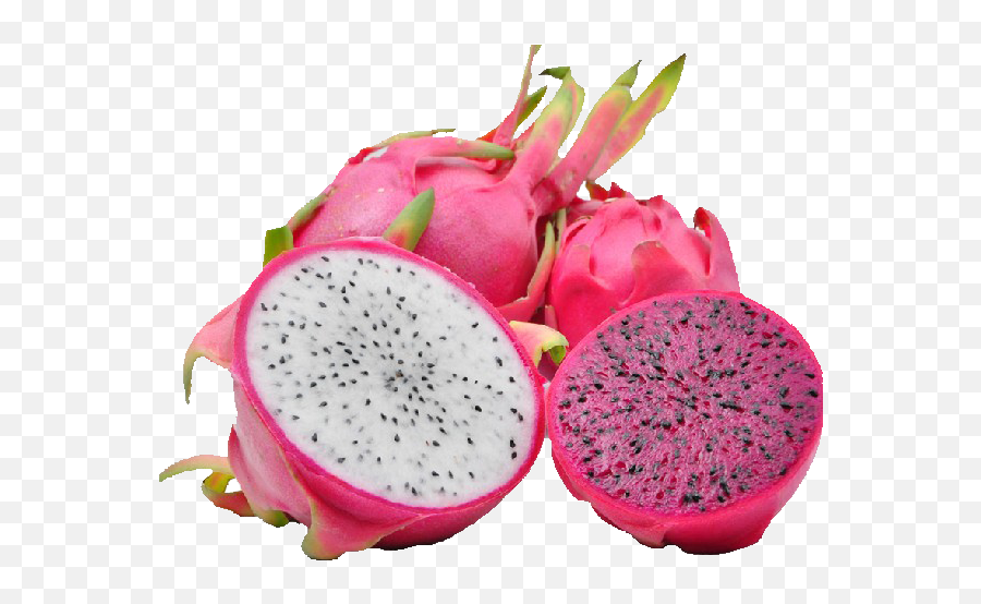 Home - Tropical Fruit Florida Png,Dragon Fruit Icon