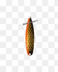 Cardi B As Stripper 2016 - Photo Shoot Png,Cardi B Png