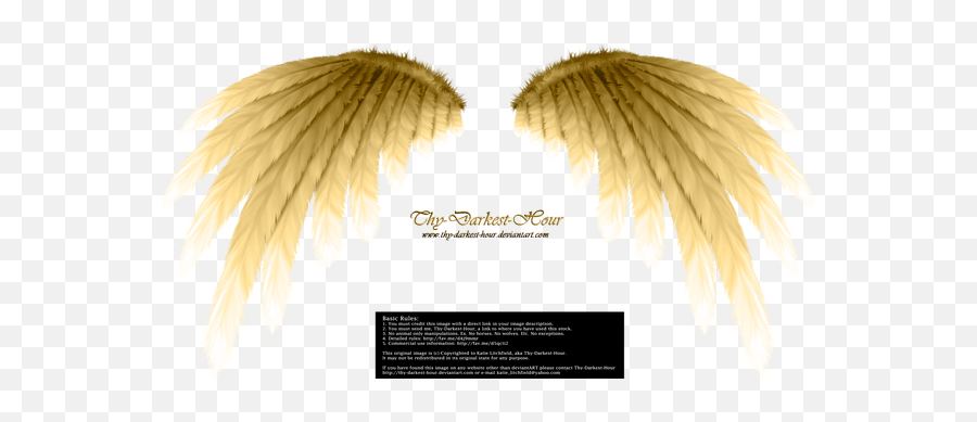 Golden Angels Wings Png Picture 1779042 - Portable Network Graphics,Gold Wings Png