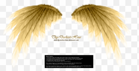 Free Transparent Angel Wings Png Images Page 5 Pngaaa Com - roblox angel wings with halo roblox free usernames