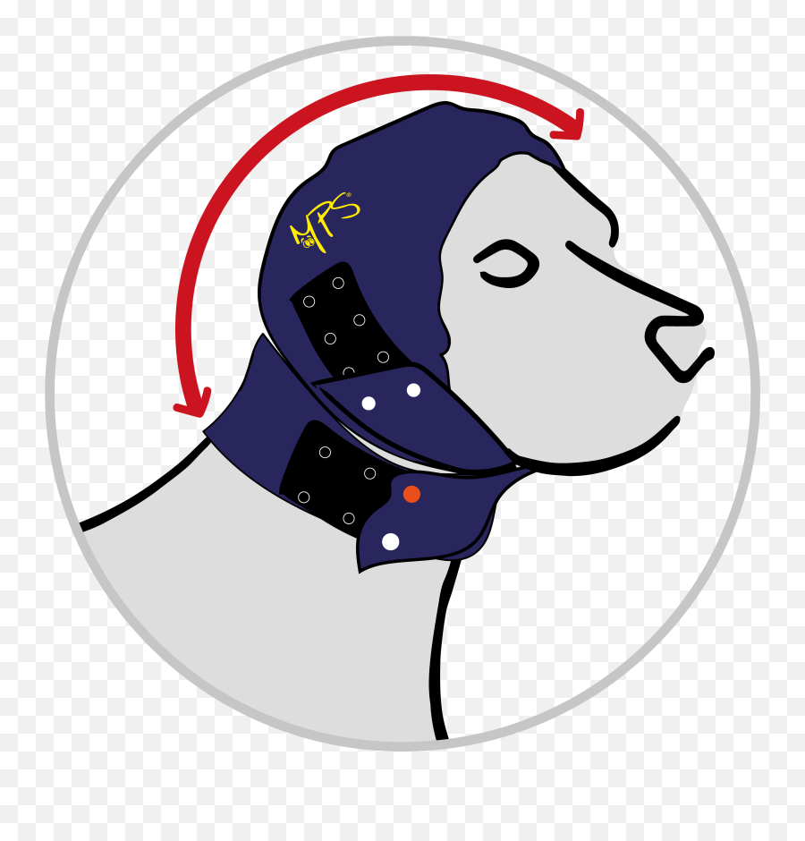 Mps - Head Cover Dog Medical Pet Shirts Head Png,Head To Head Icon