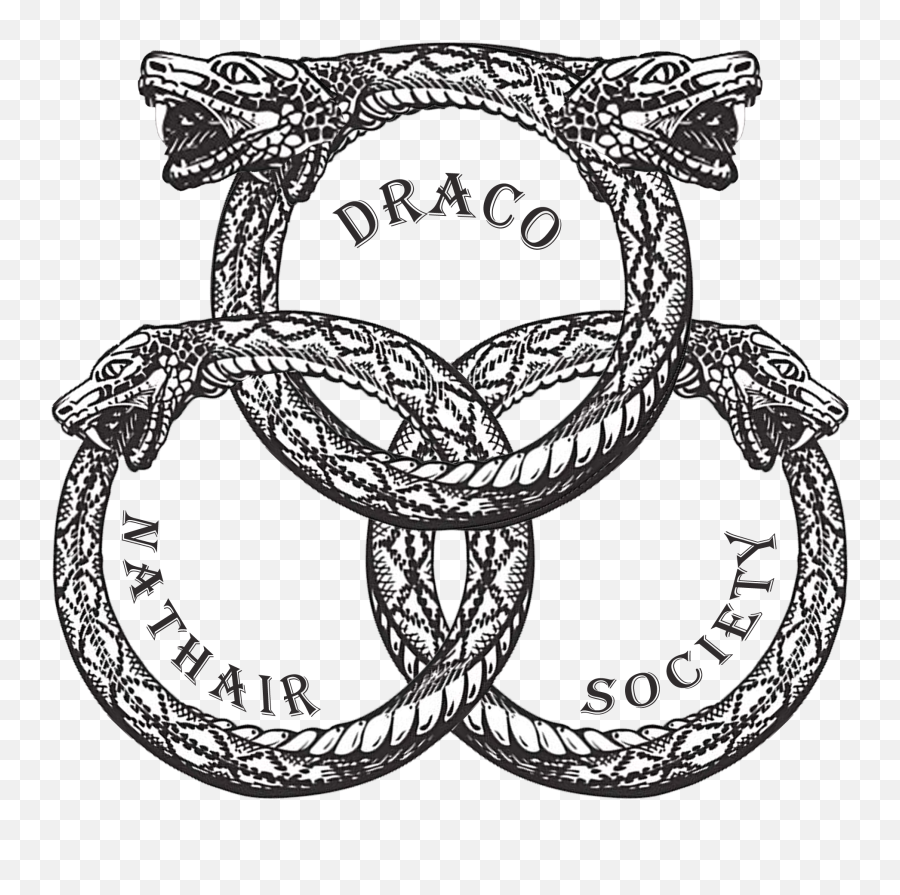 Draco Nathair Society - Illustration Png,Draco Png