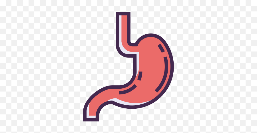Stomach Vector Icons Free Download In Svg Png Format - Language,Free Color Icon