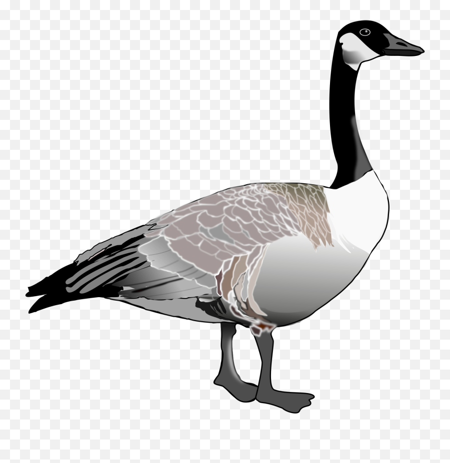 Goose Icon Png - Goose Clip Art,Goose Transparent