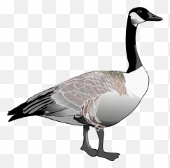 Goose Icon Png - Goose Clip Art,Goose Transparent
