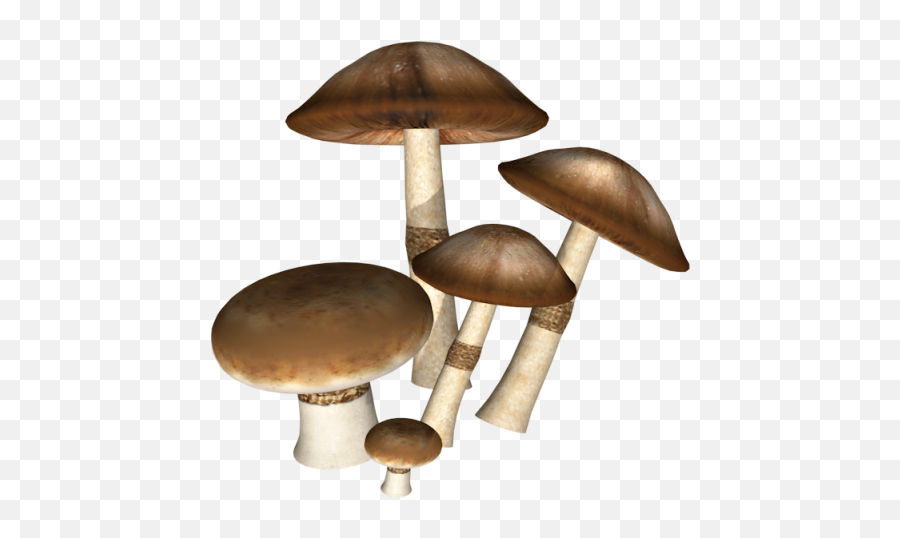 Icon - Dark Mushrooms Png Download 550500 Free Mushroom Png Hd Free Download,Mushroom Png
