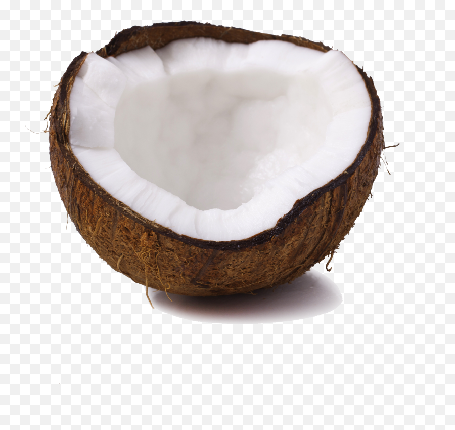 Coconut Png Pictures Fresh - Wood,Coconut Png