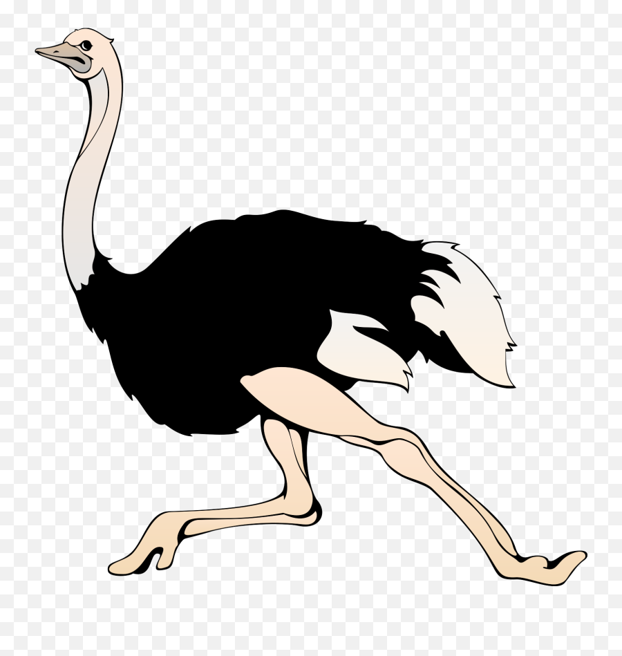 Free To Share Running Clipart Clipartmonk - Free Clip Ostrich Clipart Png,Running Clipart Png