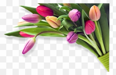 Wedding Flowers - Birthday Images Png