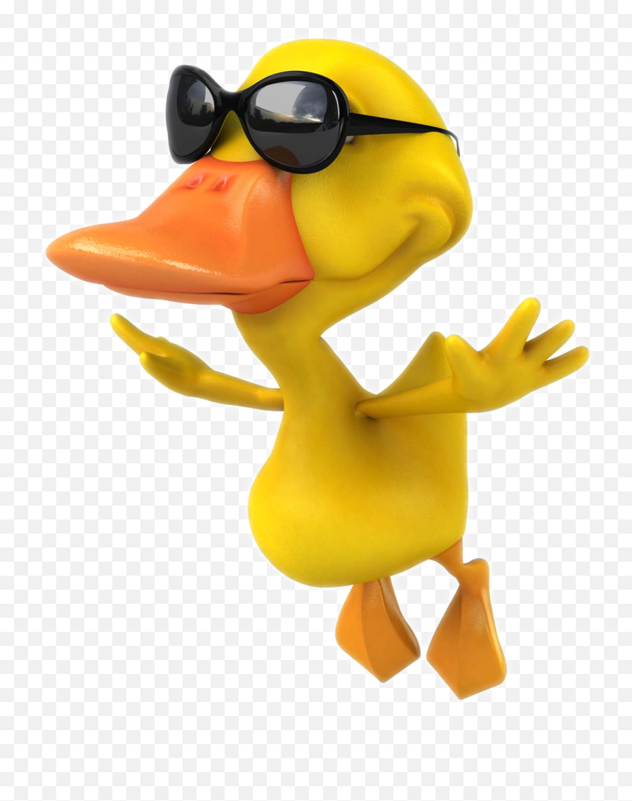 Download Pictures Photography Mallard Duck Cartoon Stock - Cartoon Mallard Duck Png,Duck Cartoon Png
