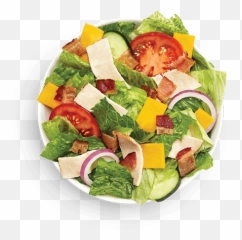 Quatro Salad Bowl - Garden Salad Png,Salad Bowl Png