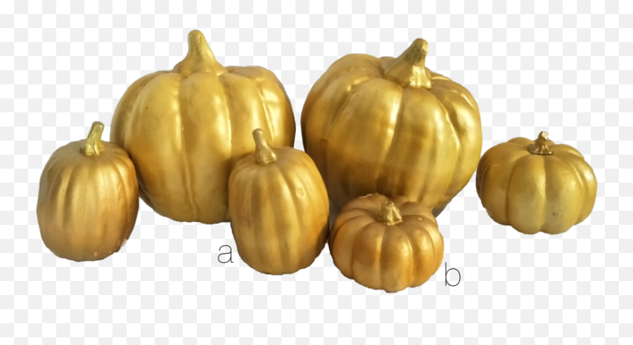 Gold Pumpkin U2013 Marble U0026 Co - Pumpkin Png,Pumpkin Transparent