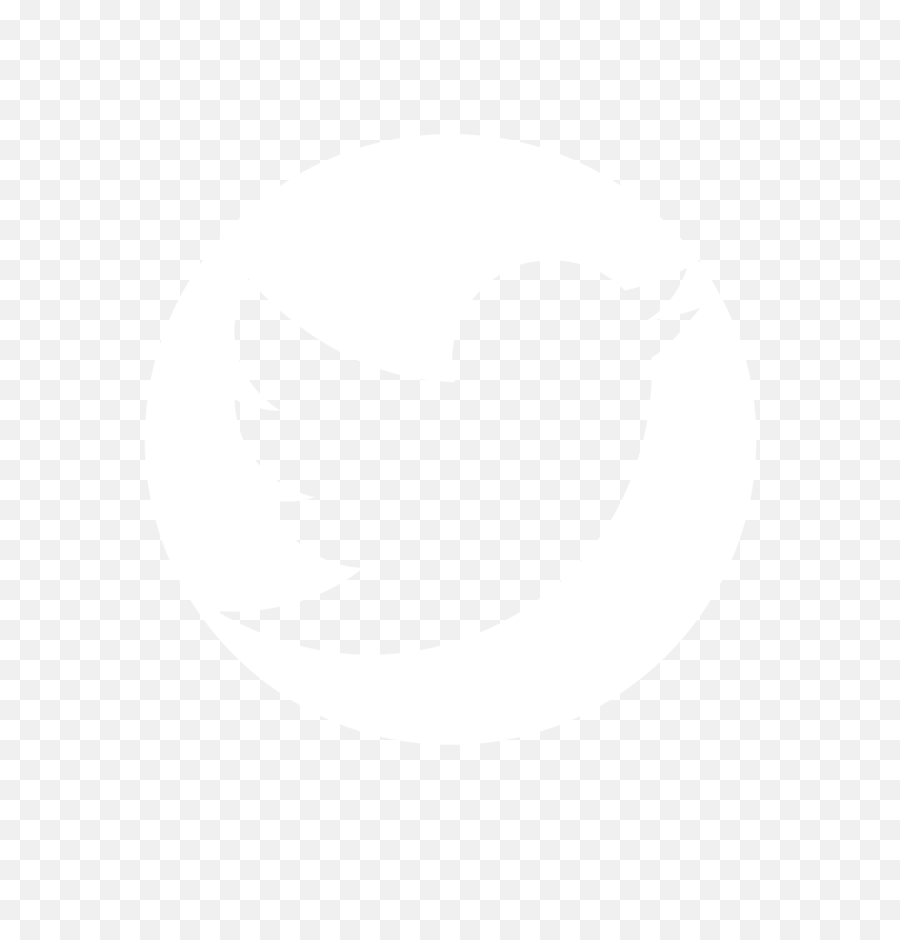 Twitter Logo White Png Transparent - White Circle Outline Png,White Twitter Logo Png