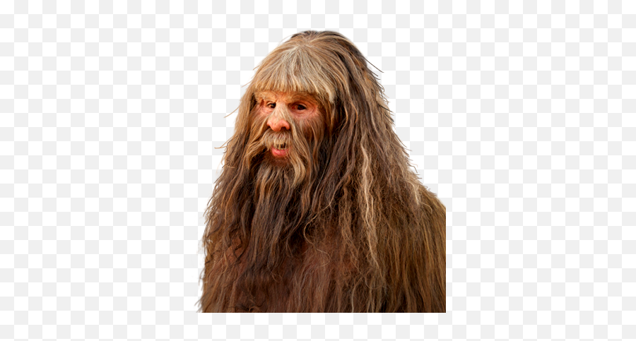 Bigfoot News Lunch Club Hyundai Canada Has A - Chewbacca Png,Sasquatch Png