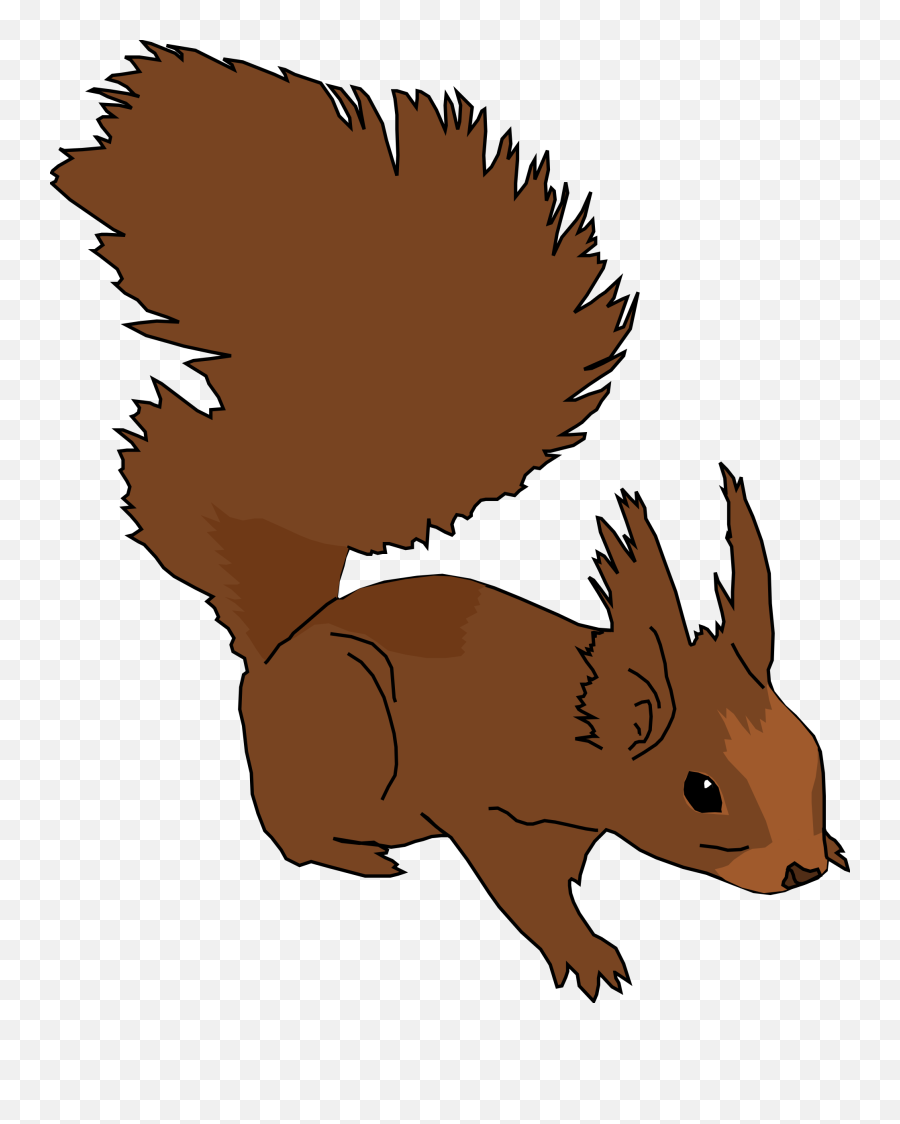 Download - Squirrel Clip Art Png,Squirrel Transparent Background