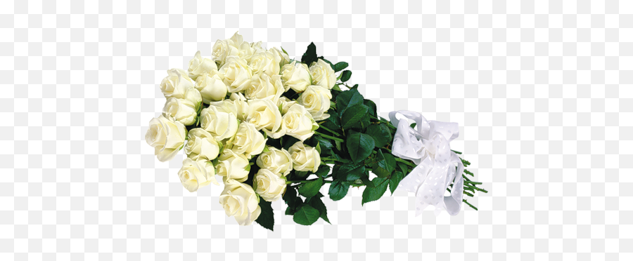 White Roses Transparent Bouquet Clipart Rose Photos - White Roses Bouquet Png,Yellow Rose Transparent