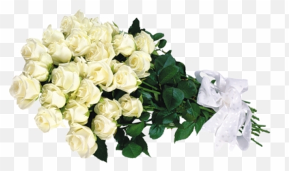 White Roses Transparent Bouquet Clipart Photos - Png