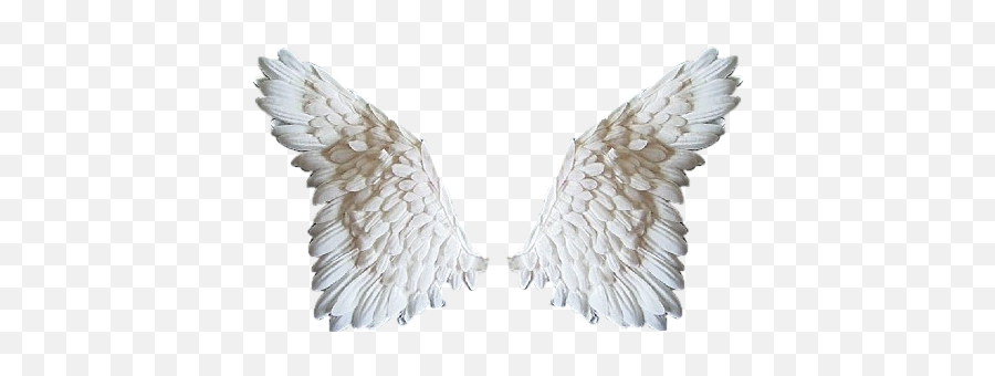 Usssp Baloou0026bugle - Clip Art Library Transparent Angel Wings Overlay Png,Realistic Angel Wings Png