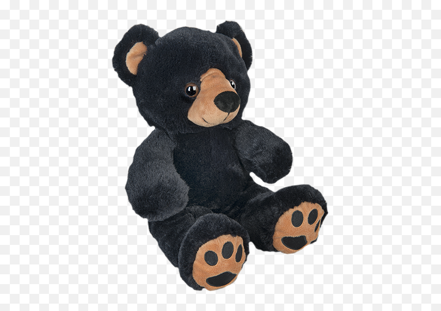 New Jr The Black Bear 8 - Black Teddy Bear Png,Baby Bear Png