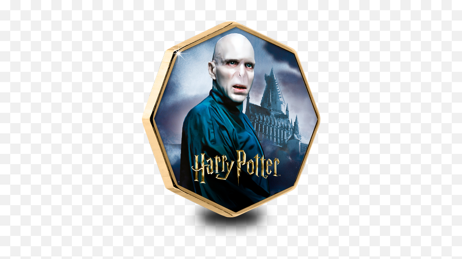 Harry - Potterhexagonalmedalvoldemortfront U2013 The Poster Png,Voldemort Png