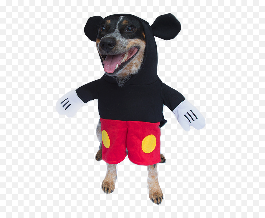 Mickey Mouse Funny Standing Costume For Dog U2013 Woof Apparel - Mickey Dog Costume Png,Doggo Png Mickey Mouse Funny Standing Costume For Dog U2013 Woof Apparel - Mickey Dog Costume Png,Doggo Png