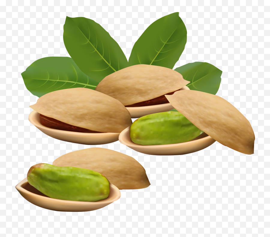 Download Green Nut Vector - Full Size Png Image Pngkit Pistachio Nuts Png,Nut Png