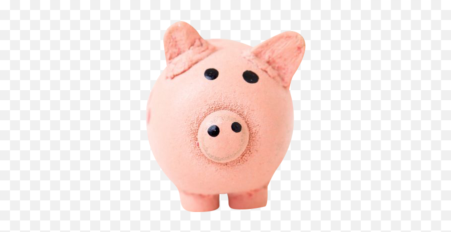 Piggy Bank Transparent Background Png - Domestic Pig,Piggy Bank Transparent Background