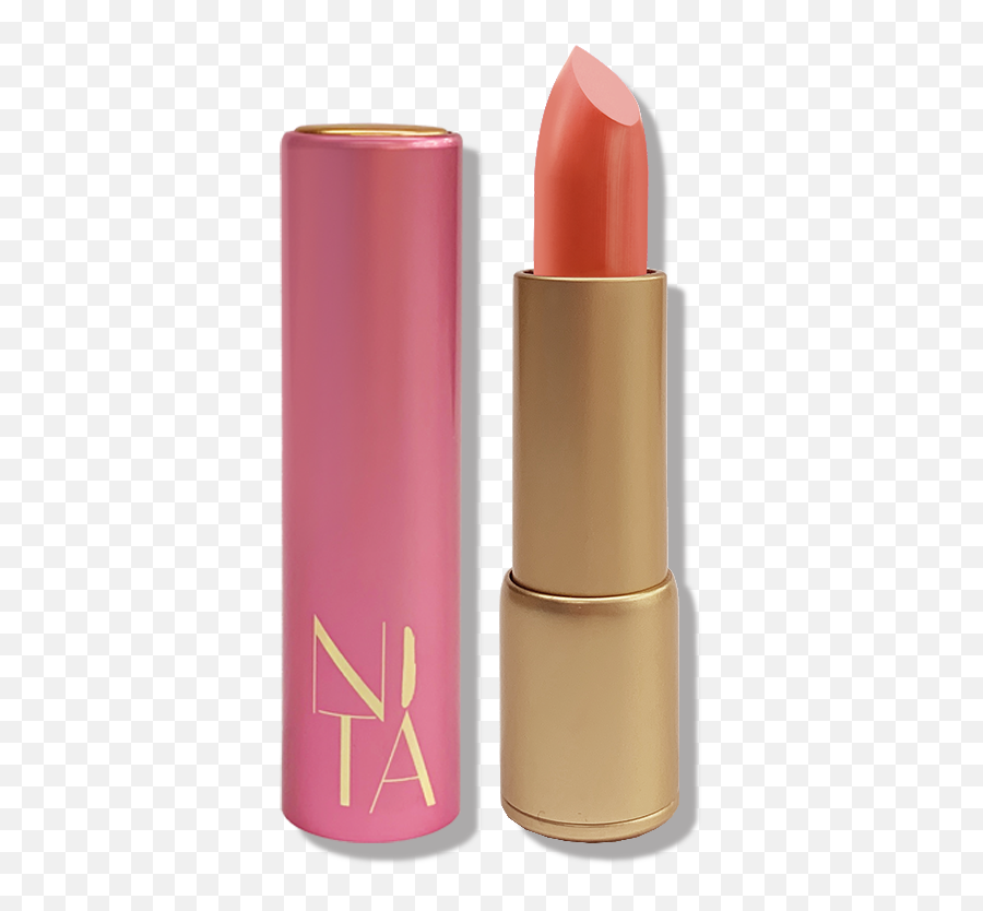 Cham Matte Bullet Lipstick In Brick Red Png