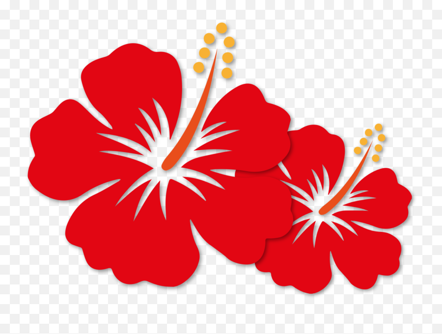 Bunga Png - Malaysia Mygie National Principle Vector Vector Hibiscus Flower Png,Hibiscus Flower Png