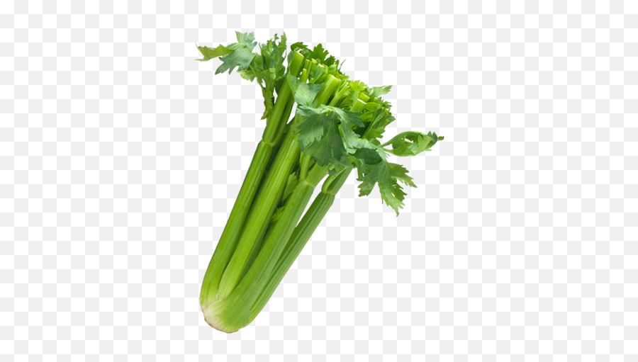 Celery Transparent Sleeved Image Black - Transparent Png Celery Png,Celery Png