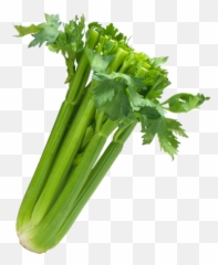 Celery Transparent Sleeved Image Black - Transparent Png Celery Png,Celery Png