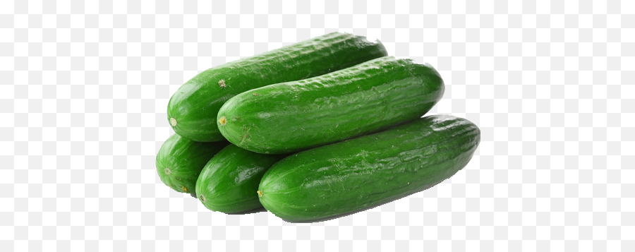 Download Cucumbers Png File - Green Cucumber Hd,Cucumber Transparent