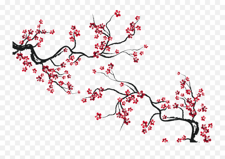 Collection Of Peach Blossom Png Images - Cherry Blossom Japanese Flower Png,Cherry Blossoms Png
