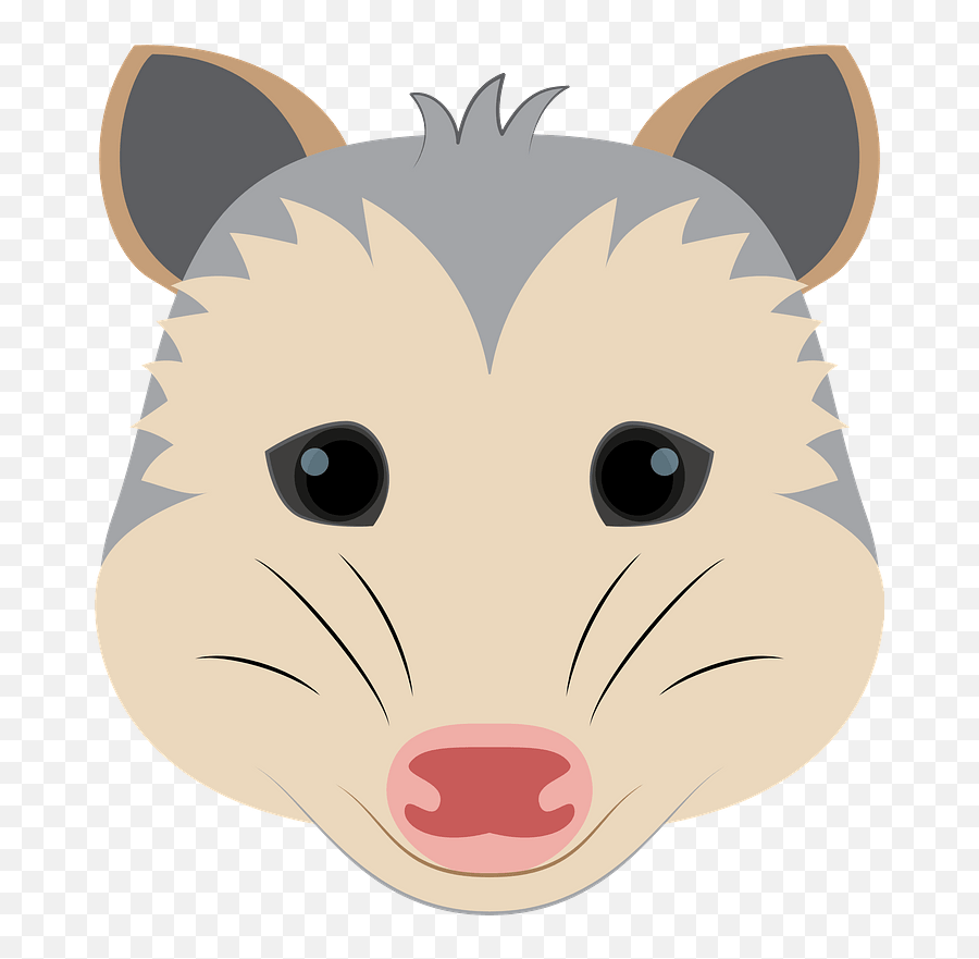 Possum Face Clipart - Possum Face Cartoon Png,Possum Png