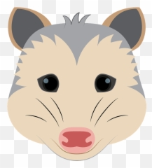 Possum Face Clipart - Possum Face Cartoon Png,Possum Png