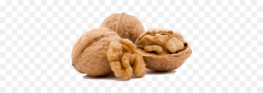 Buy Walnuts In A Shell Migatrade - Walnut Whole Png,Walnuts Png