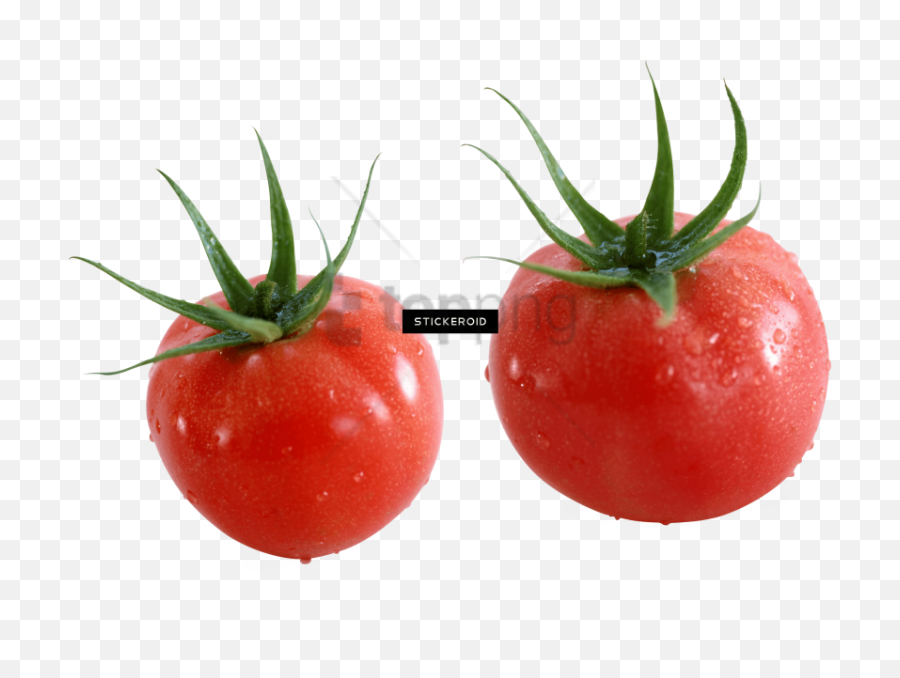 Download Free Png Tomato Images Background - Two Tomatoes,Tomato Transparent Background