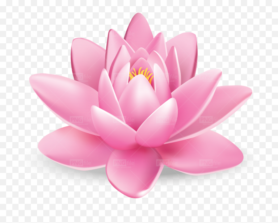 Tags - Lotus Flower Png Pngfilenet Free Png Images Download Girly,Lotus Flower Transparent Background
