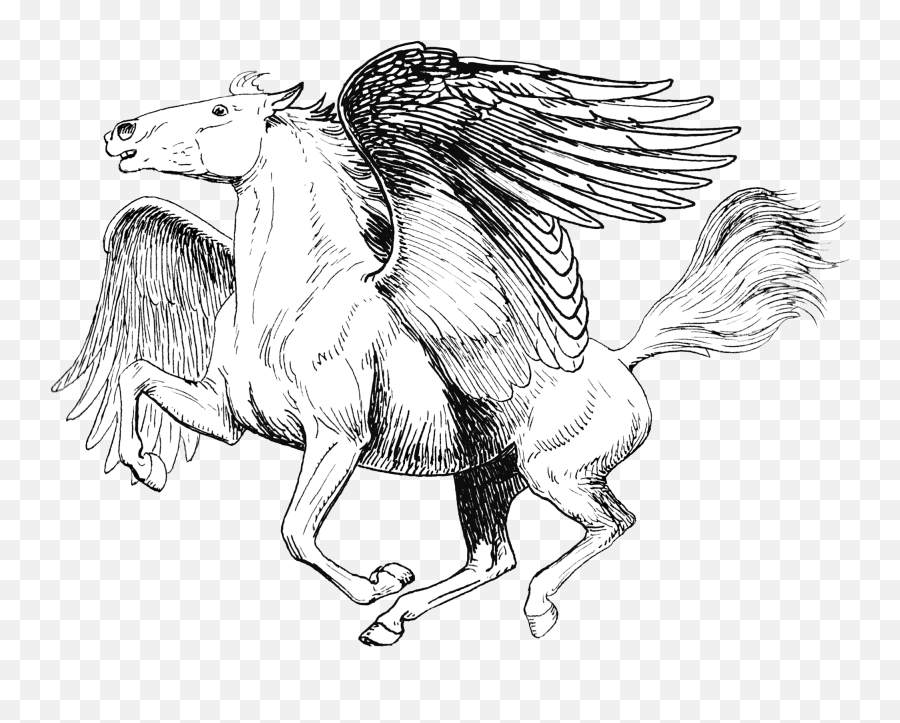 Pegasus - Realistic Pegasus Coloring Pages Png,Pegasus Png