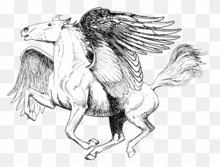Pegasus - Realistic Pegasus Coloring Pages Png,Pegasus Png
