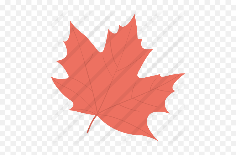 Maple Leaf - Autumn Leaves Stickers Png,Maple Png