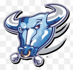 Buffalo Bulls Logo Png Transparent - Rugby Blue Bull Logo,Bull Logo Png