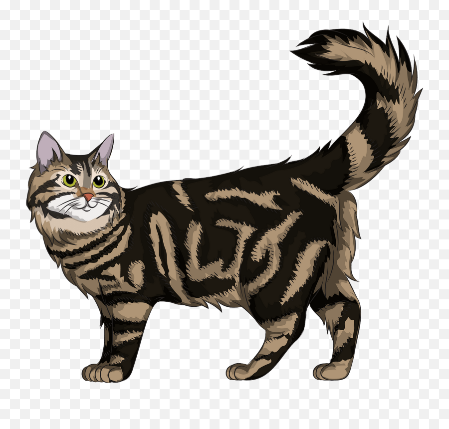 Maine Coon Cat Clipart - Maine Coon Clip Art Png,Cat Clipart Transparent