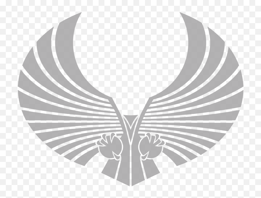 Star Trek Romulan Logo Mens Regular - Warhammer 40k Aquila Png,Romulan Logo