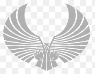 Star Trek Romulan Logo Mens Regular - Warhammer 40k Aquila Png,Romulan Logo