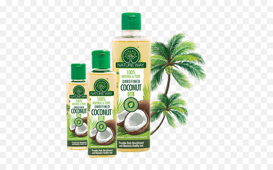 Natureway 100 Pure Coconut Oil - Interstate 75 In Florida Png,Coconut Transparent