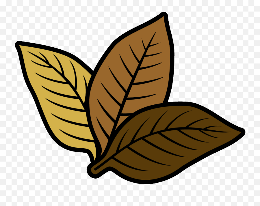 Tobacco Leaf Png - Tobacco Leaf Icon Png,Tobacco Leaf Png