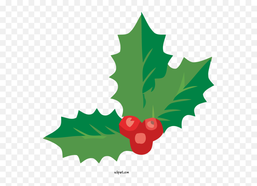 Holidays Holly Leaf Grape Leaves For - Bannai Shokud Png,Holly Leaves Png