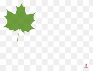 Green Maple Leaf Clip Art - Leaves Silhouette Language png